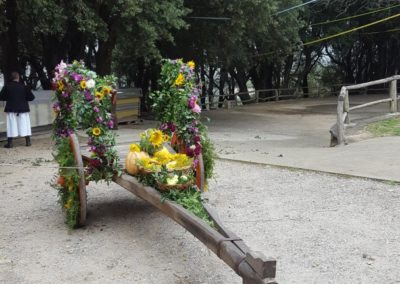 Parco archeologico_Seleni _ 1