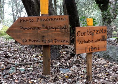 escursioni archeo-naturalistiche10