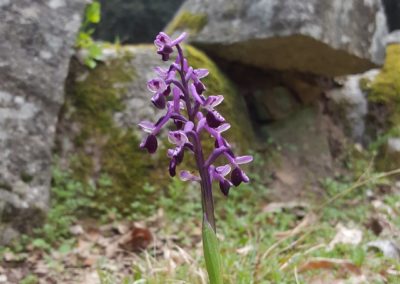 escursioni archeo-naturalistiche2