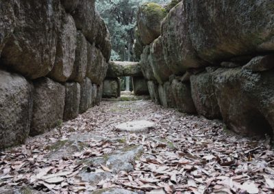 escursioni archeo-naturalistiche9